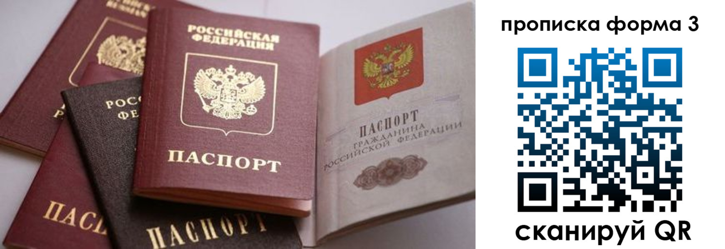 прописка для школы в Домодедово